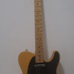 Telecaster With Nocaster Pickups